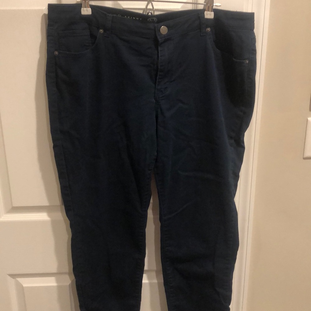 Westport- Women’s Signature Skinny Pants size 16w